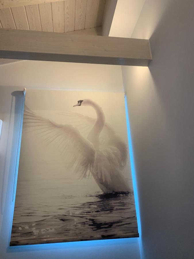 Terpsichore Boutique Bright New Sofita Studios And Appartment Dassia (Corfu) Exterior foto